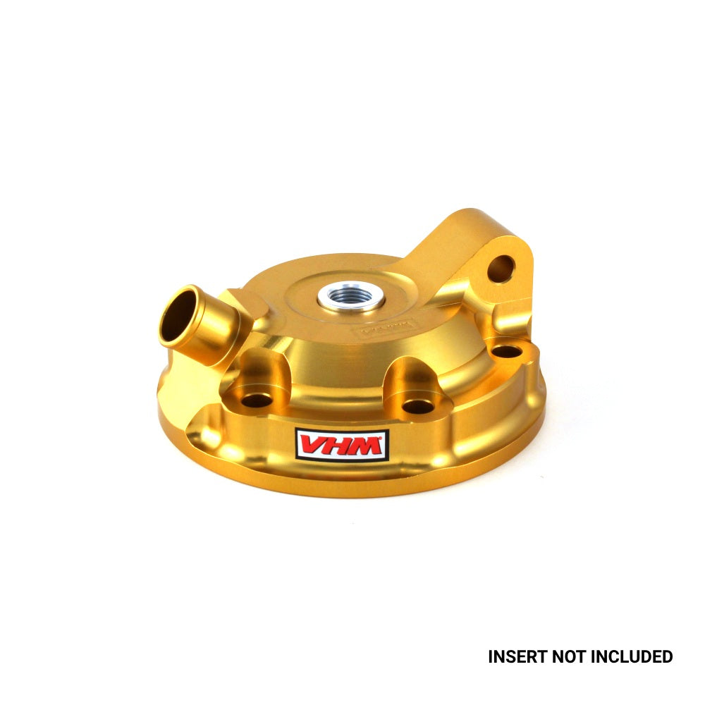 VHM Teste dal pieno Beta RR 300 2013-2024