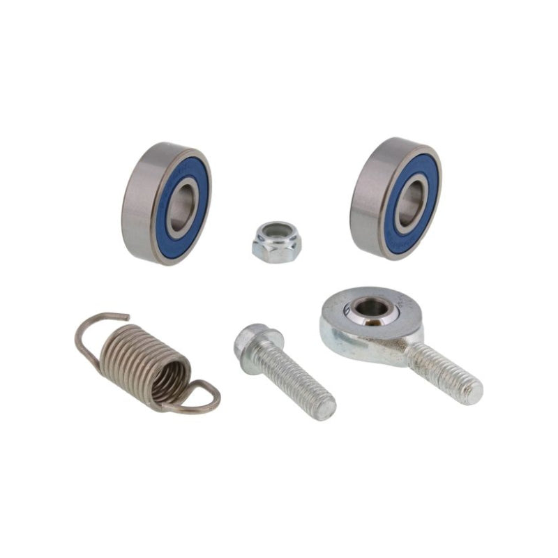 All Balls Racing Kit revisione pedale freno posteriore GasGas 350 EC-F 2024-2025