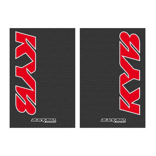 Blackbird Racing Adesivi vari Universale Carbonio