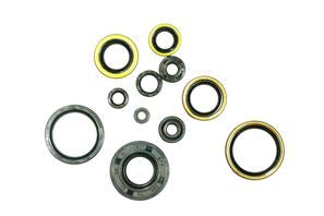 NRTeam Paraolio motore (KIT) Kawasaki KX 250 1995-2003
