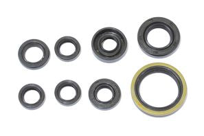 NRTeam Paraolio motore (KIT) GasGas 250 EC-F 2013-2015