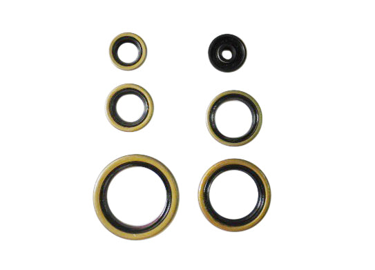 NRTeam Paraolio motore (KIT) Husaberg 250 TE 2011-2014