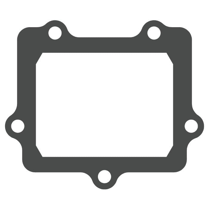Moto Tassinari Pacchi lamellari V-Force Kawasaki KX 250 2005-2008