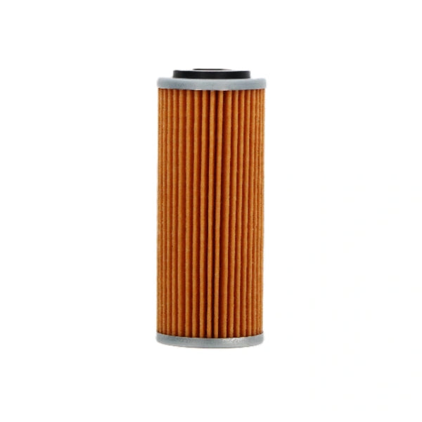 Twin Air Filtri olio TRIUMPH TF 250 X 2024-2026
