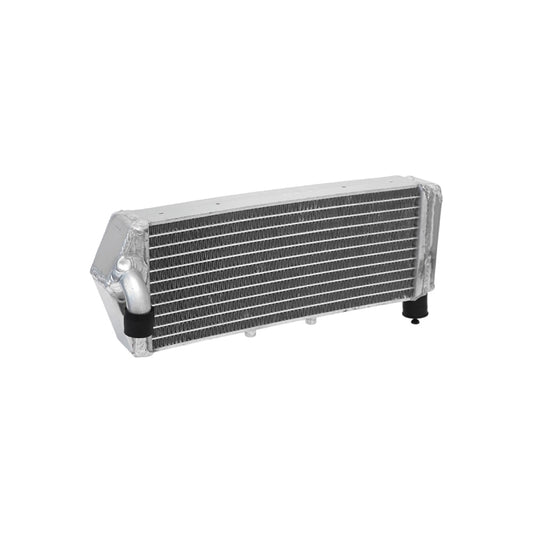 NRTeam Radiatori maggiorati GasGas 125 MC 2021-2023
