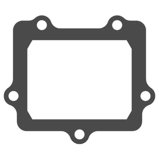 Moto Tassinari Pacchi lamellari V-Force Kawasaki KX 250 2005-2008
